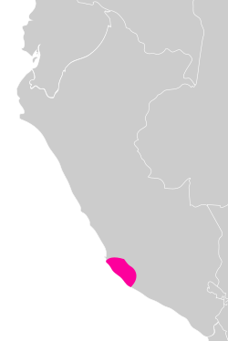 nazca