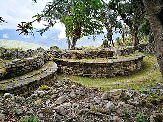 chachapoya