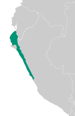 chimú
