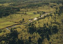 Monte Verde