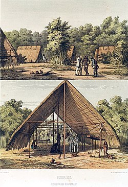 arawak